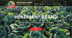 Desktop Screenshot of borzynskifarm.com